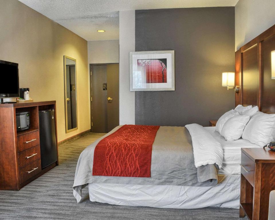 Comfort Inn Ruther Glen near Kings Dominion image 10