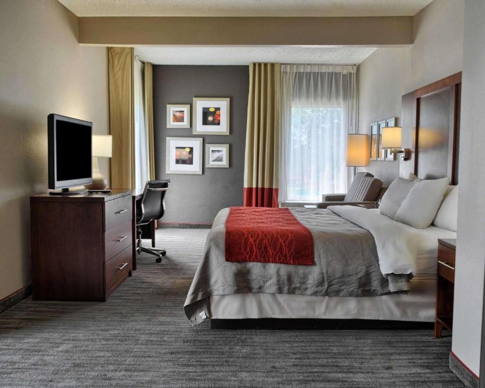 Comfort Inn Ruther Glen near Kings Dominion image 13