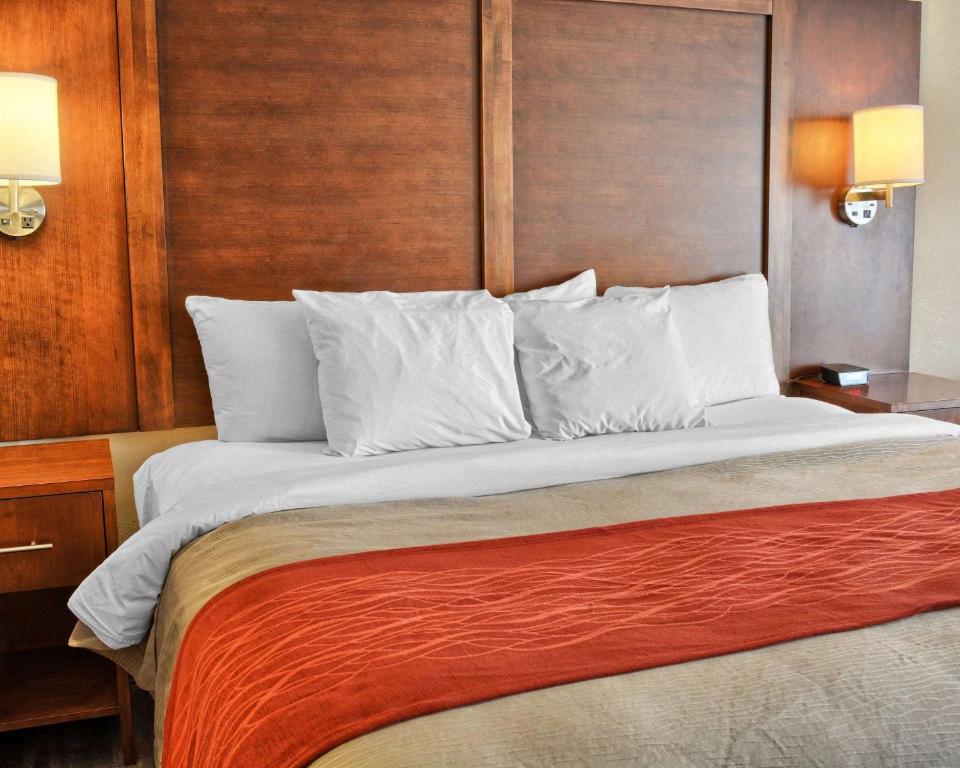 Comfort Inn Ruther Glen near Kings Dominion image 9